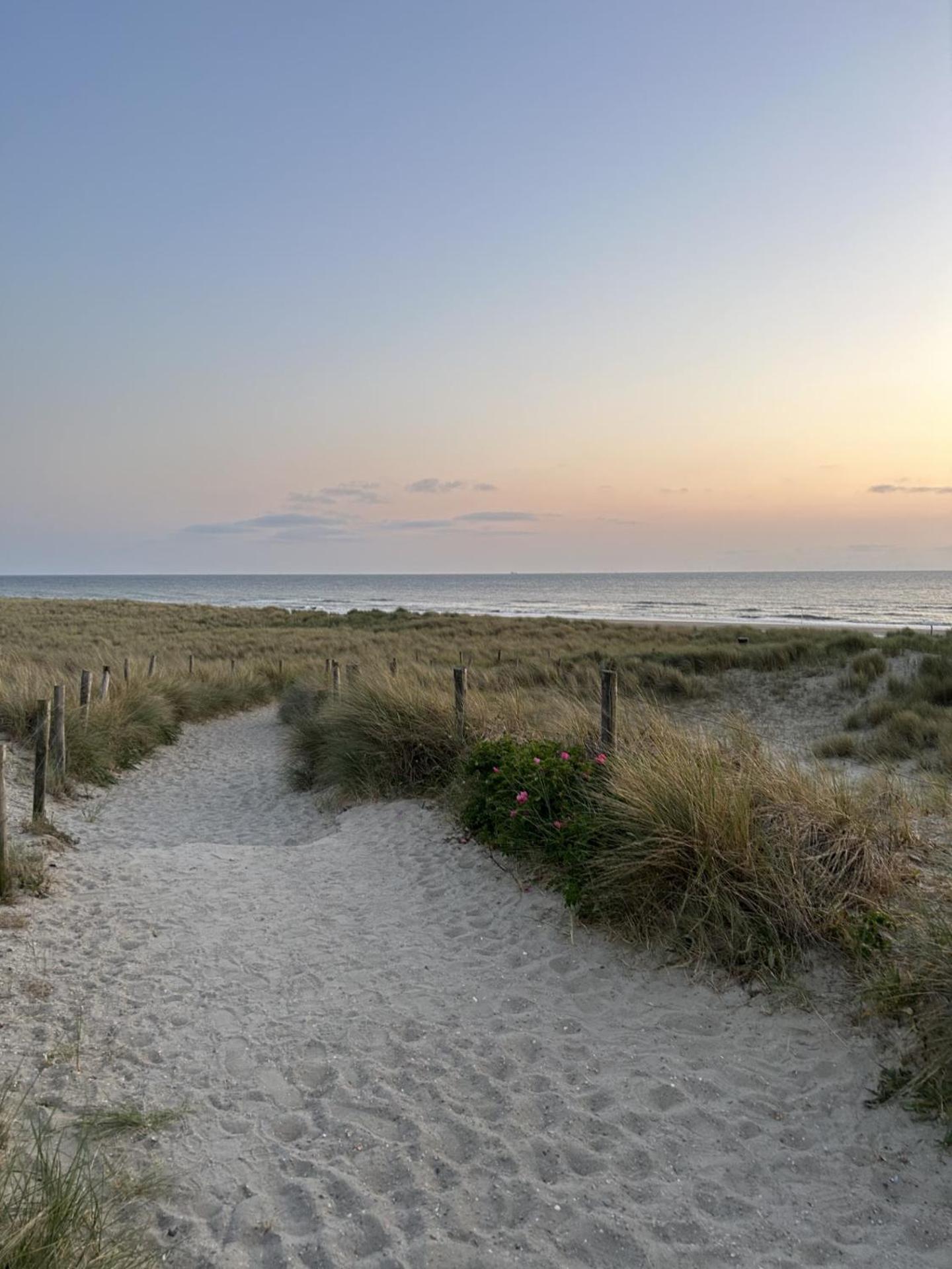 Breezy Beach Chalet Petten Exterior photo
