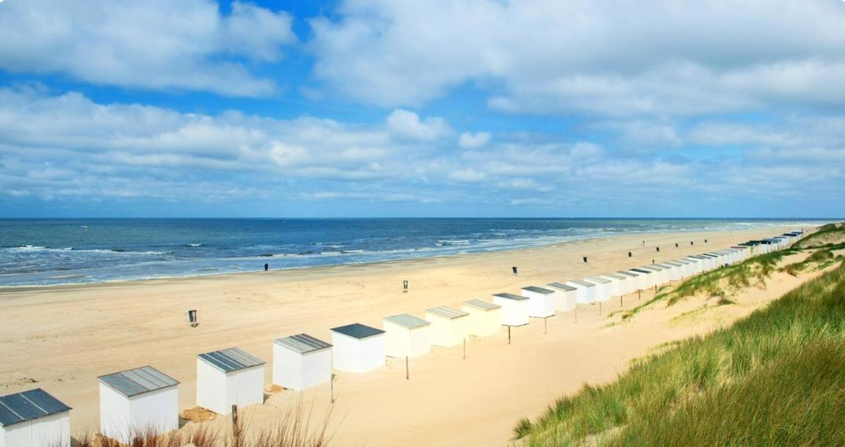 Breezy Beach Chalet Petten Exterior photo